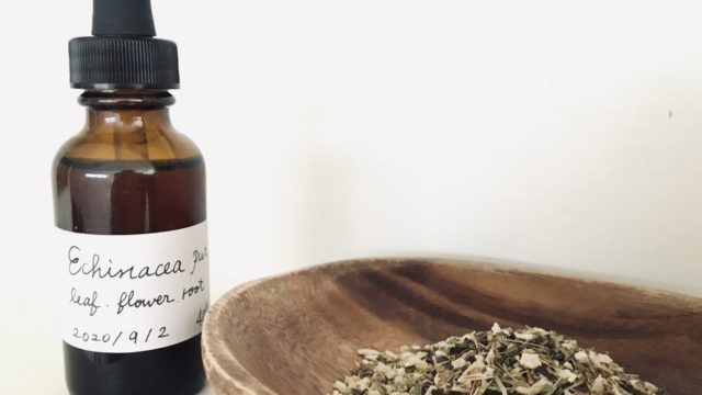 風邪の自然療法セルフケア エキナセア チンキ の作り方 自然と調和する暮らし