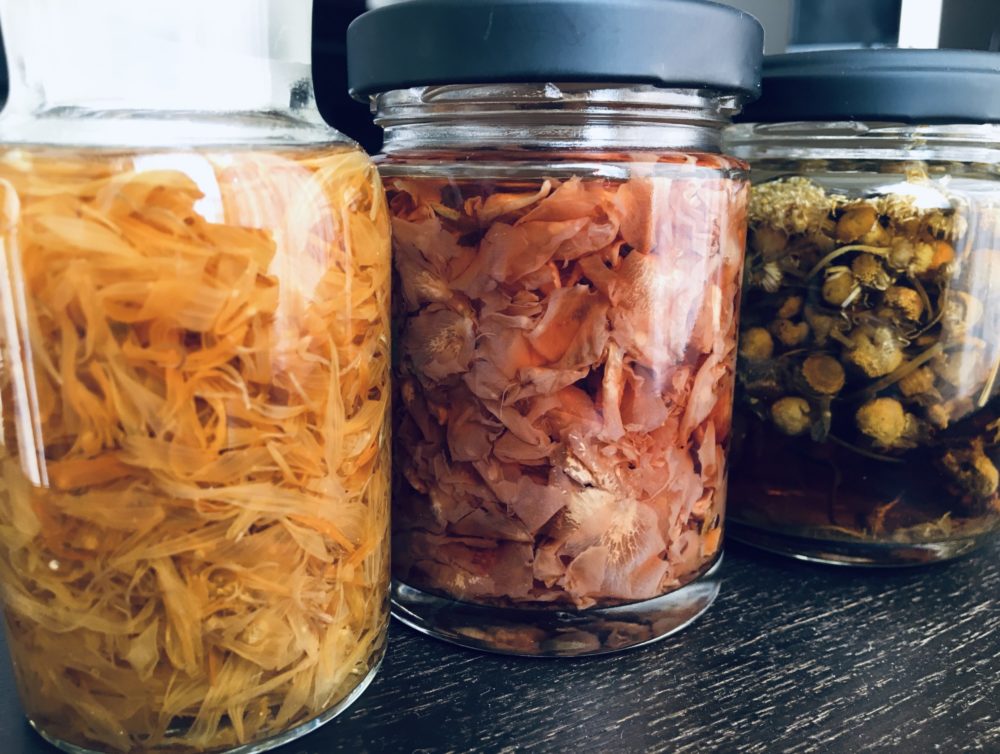 ハーブチンキとは ハーブチンキの利点と効果の高め方 自然と調和する暮らし